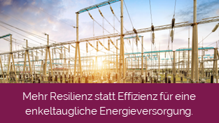 Resilienz statt Effizienz für eine enkeltaugliche Energieversorgung.