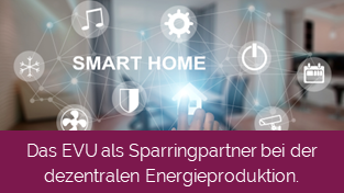 Das EVU als Sparringpartner